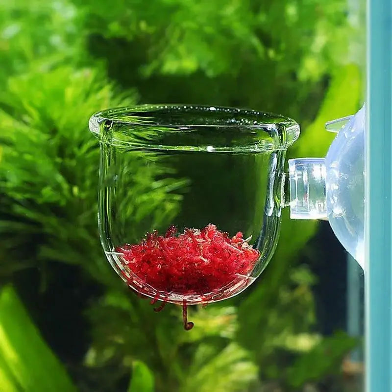 Waterweed nursery pot Glass Aquarium decoration