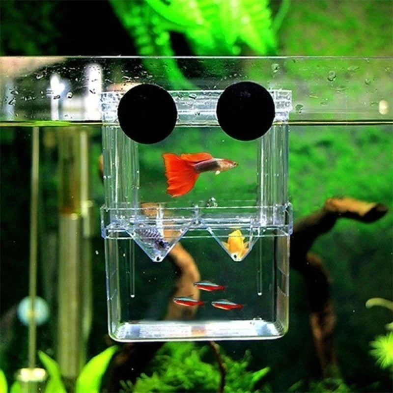 Multifunctional Fish Aquarium High Clear Breeding Isolation Box
