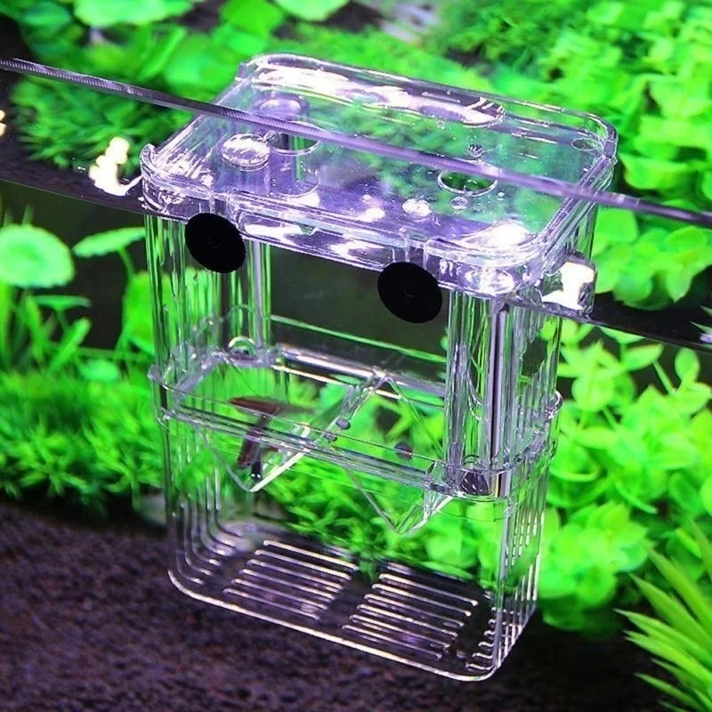 Multifunctional Fish Aquarium High Clear Breeding Isolation Box