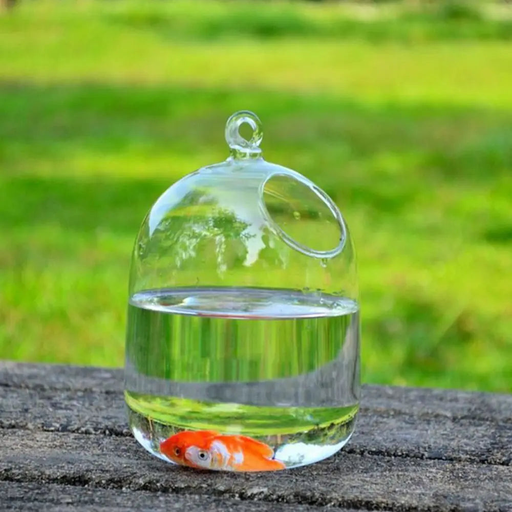 Round Shape Hanging Glass Aquarium Fish Tank