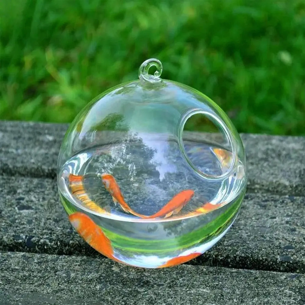 Round Shape Hanging Glass Aquarium Fish Tank