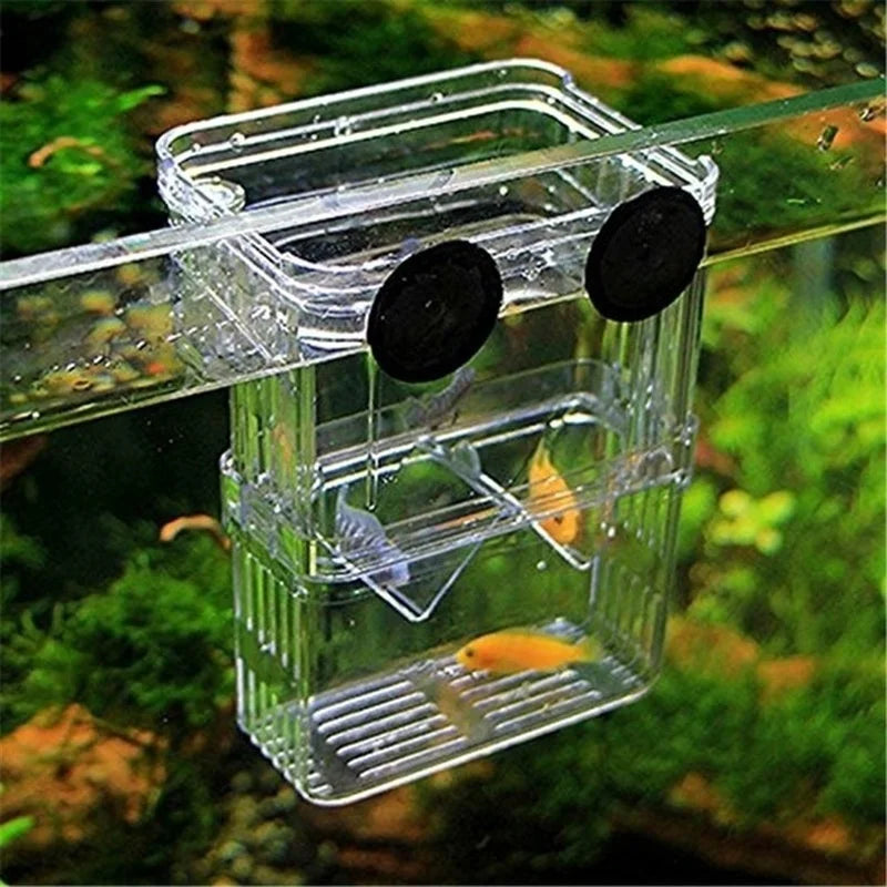 Multifunctional Fish Aquarium High Clear Breeding Isolation Box